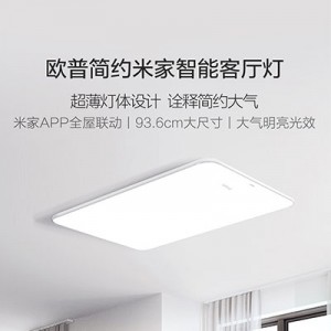 遥控器调光色LED吸顶灯长方形客厅灯大气现代简约房间卧室灯具