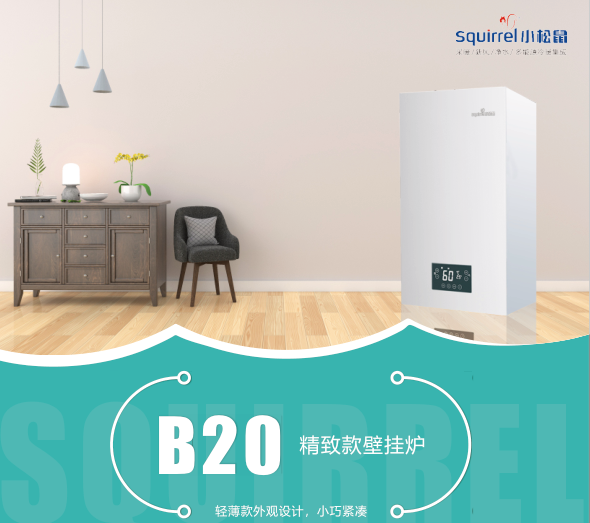 B20精致款壁挂炉