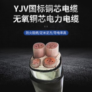 YJV铜芯电缆线2/3/4/5芯电力电缆6/10/16/25/35平方铠装低压线缆