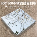 镜面不锈钢集成吊顶天花板300*300舞蹈室墙面装饰材料自装扣板