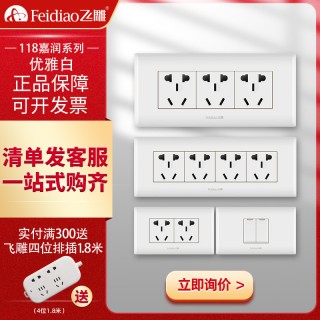 飞雕插座