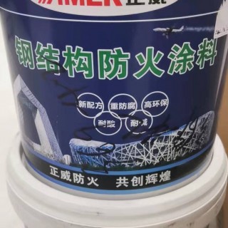 钢结构防火腐涂料